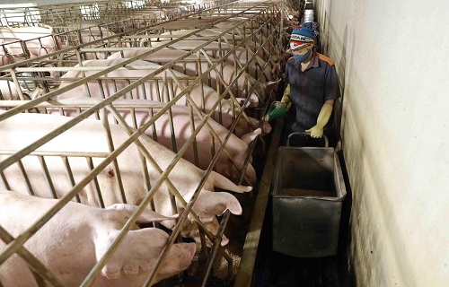 Hanoi gains remarkable achievements in sustainable poverty reduction